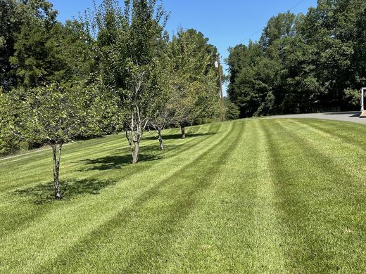Tree-lined maintained lawn from OJ LANDSCAPE Facebook
